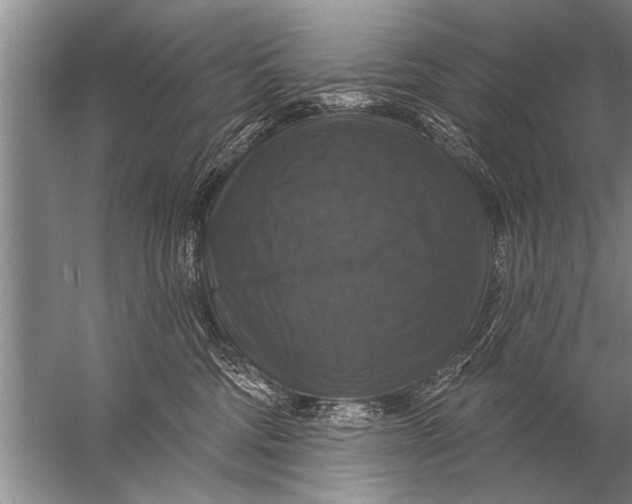 X0000057070330200510010140