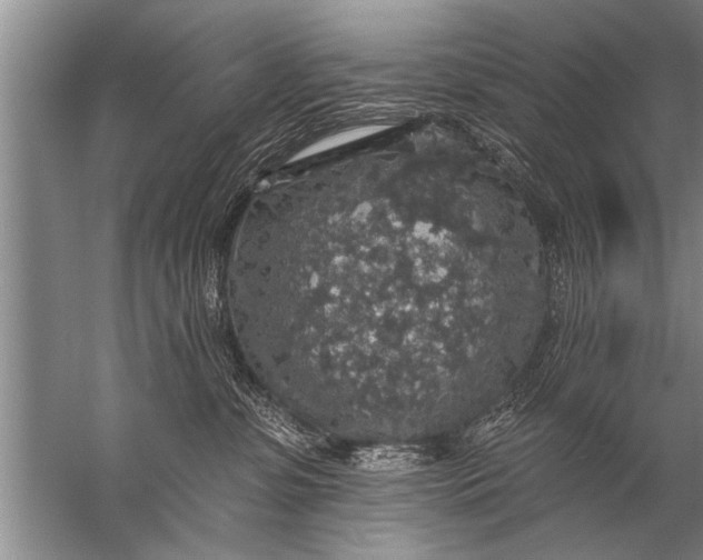 X0000057070331200510010140