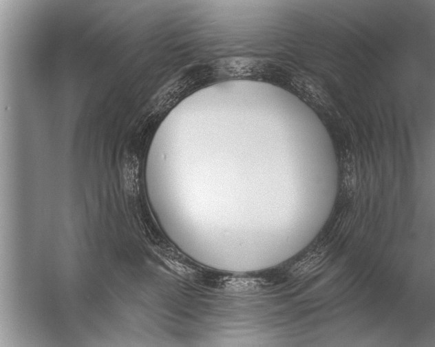 X0000057070332200510010140