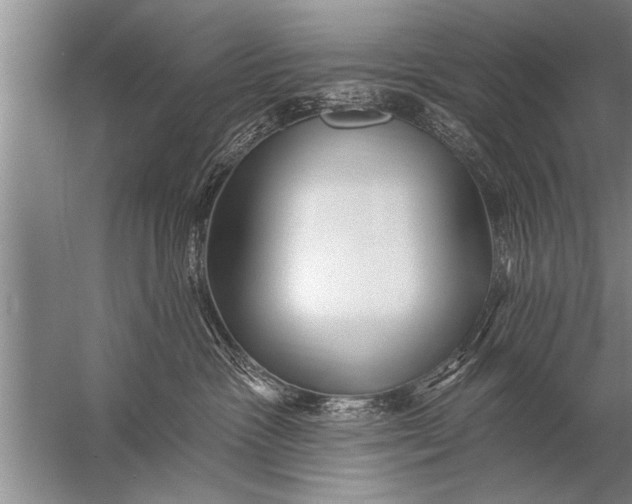 X0000057070333200510010140