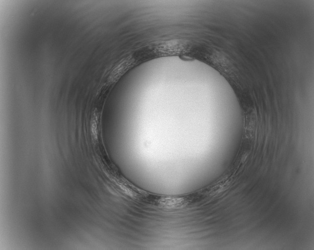 X0000057070334200510010140