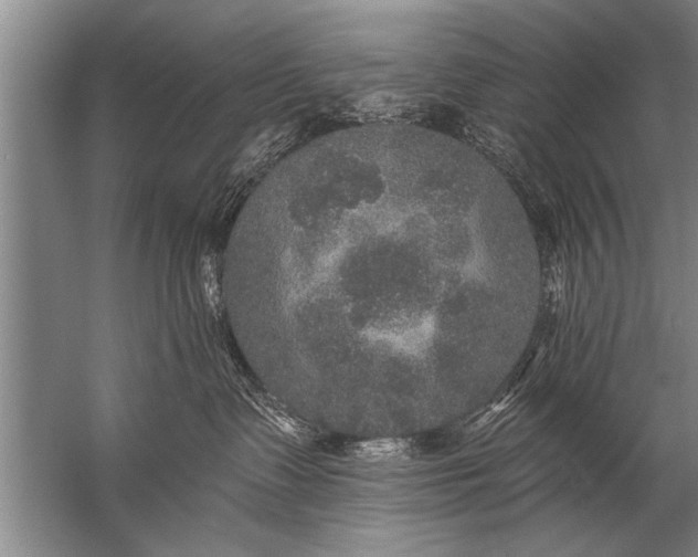 X0000057070335200510010140