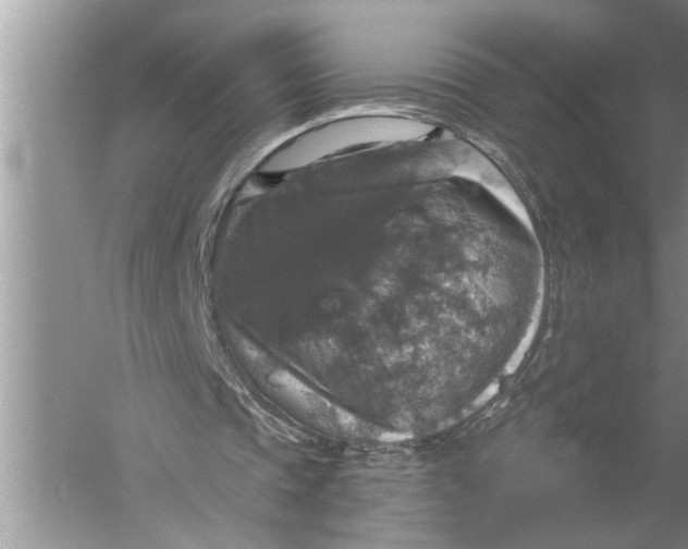 X0000057070337200510010139