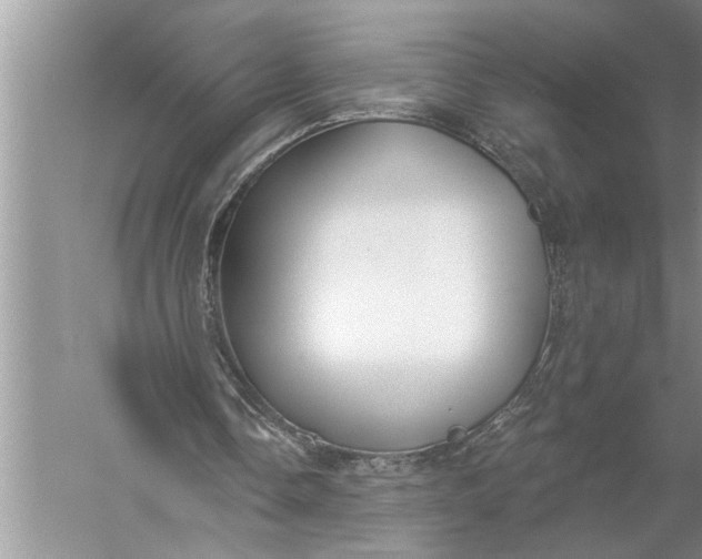 X0000057070338200510010139