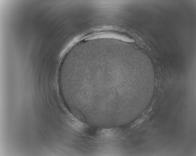 X0000057070341200510010139