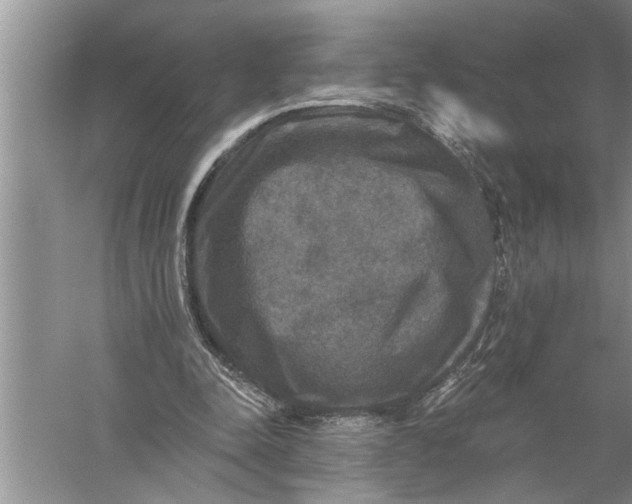 X0000057070342200510010139