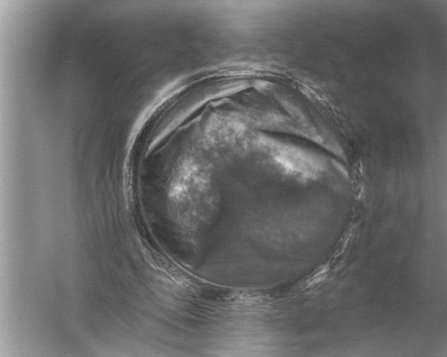 X0000057070343200510010139