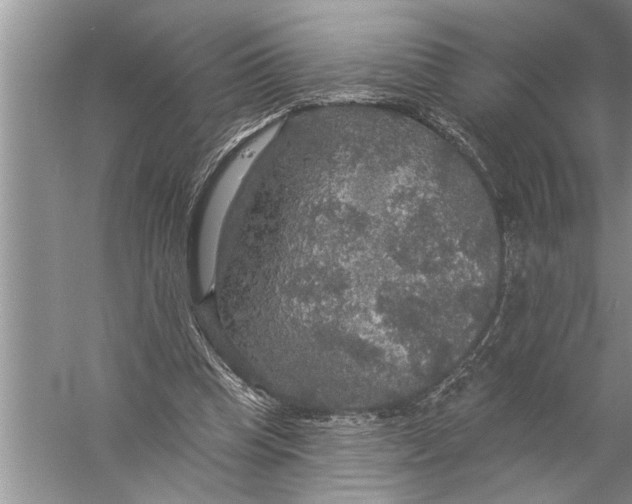 X0000057070345200510010139