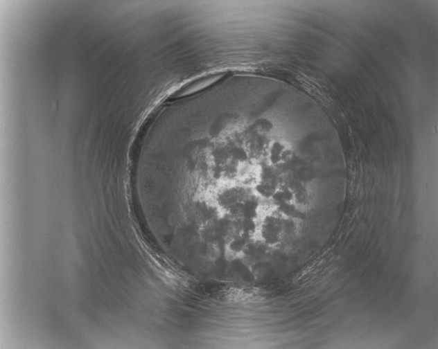 X0000057070346200510010139