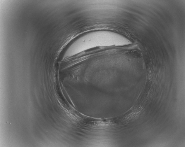 X0000057070347200510010139