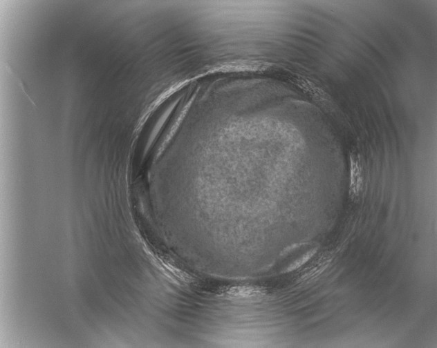 X0000057070348200510010139