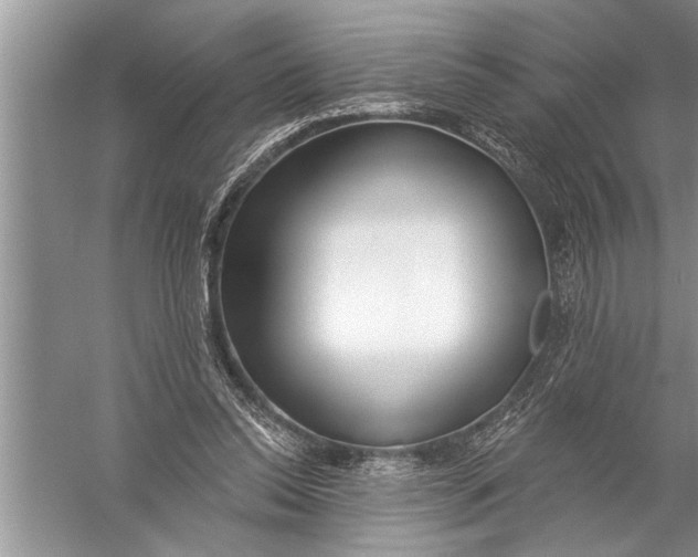 X0000057070350200510010139