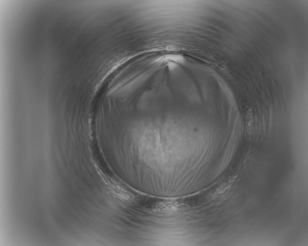 X0000057070351200510010139