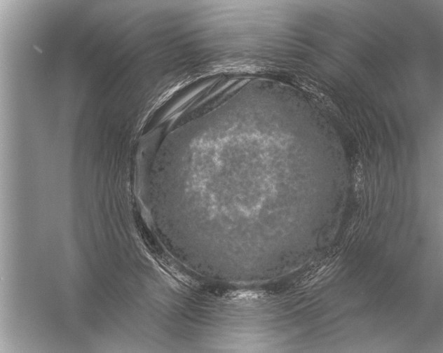 X0000057070352200510010139