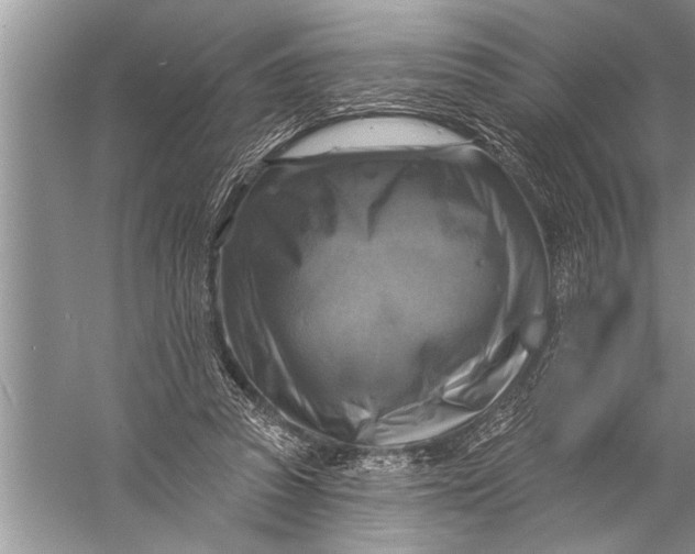 X0000057070353200510010139