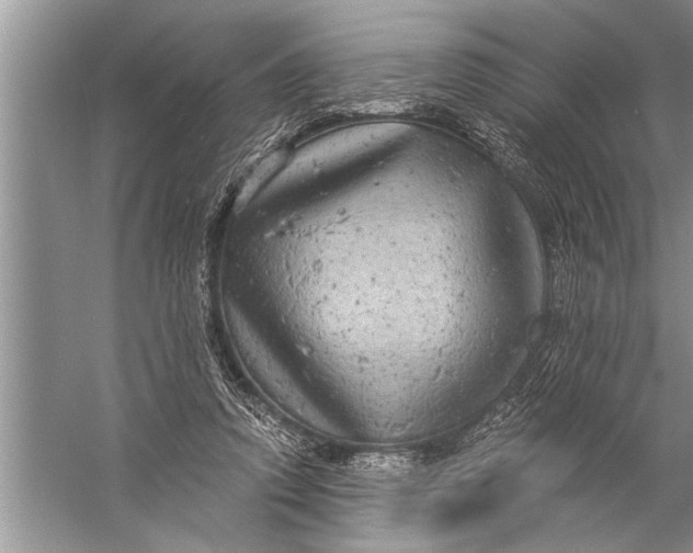 X0000057070354200510010139