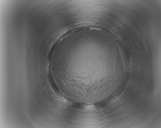 X0000057070355200510010139