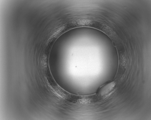 X0000057070356200510010139