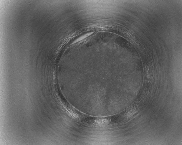 X0000057070357200510010139