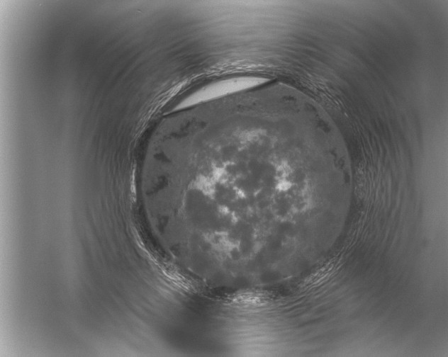 X0000057070358200510010139