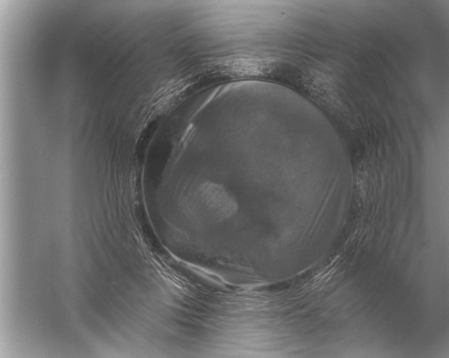 X0000057070359200510010139