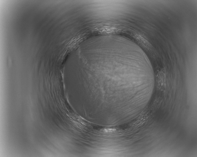 X0000057070361200510010139