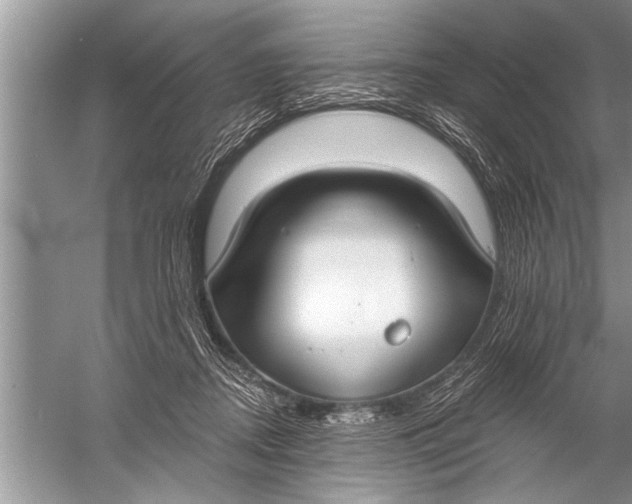 X0000057070362200510010139