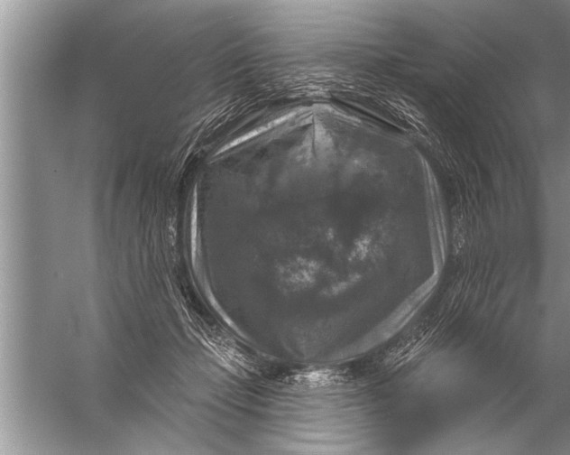 X0000057070365200510010139