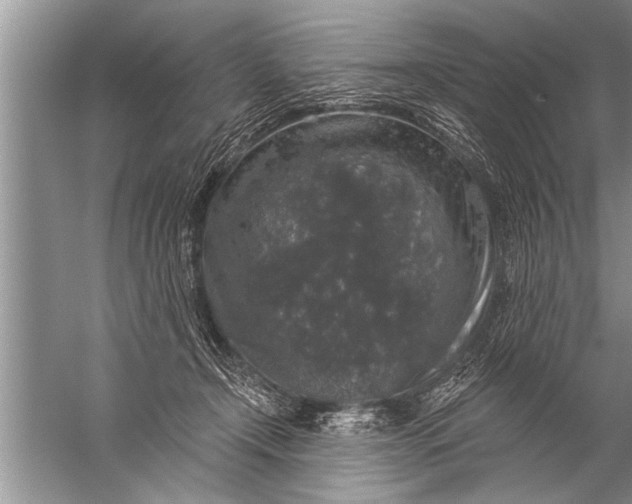 X0000057070366200510010139