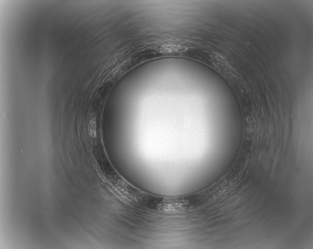 X0000057070368200510010140