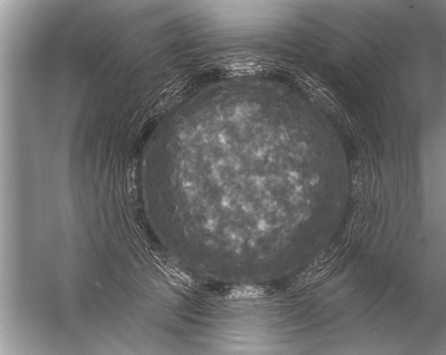 X0000057070369200510010140