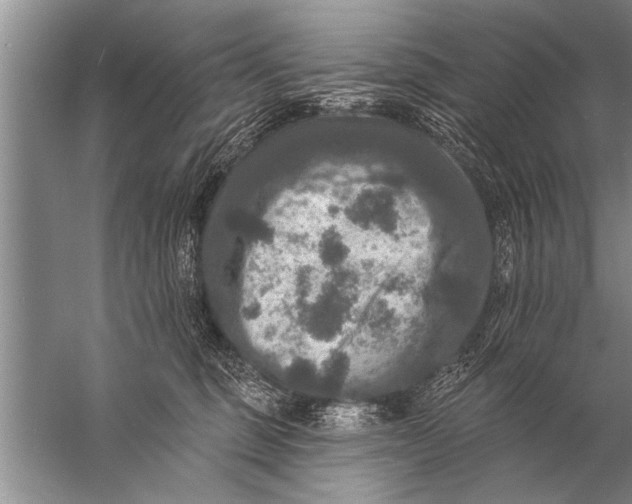 X0000057070375200510010140