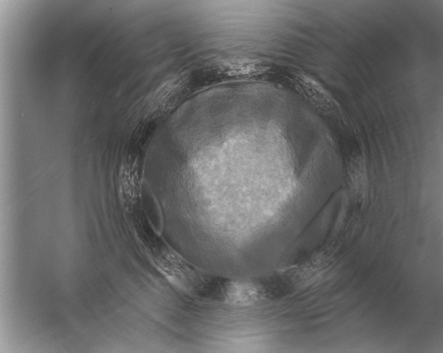 X0000057070376200510010140