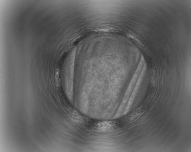 X0000057070378200510010140