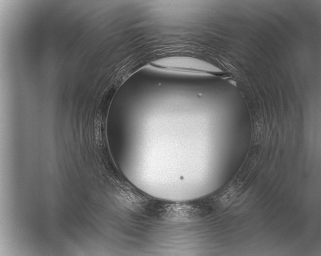 X0000057070379200510010140