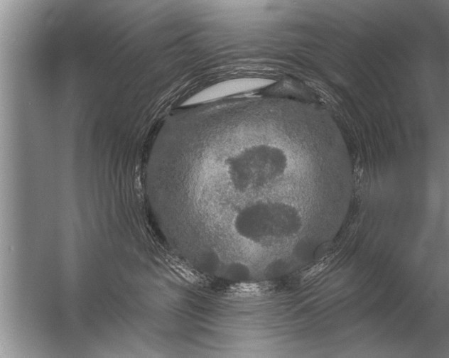 X0000057070381200510010140