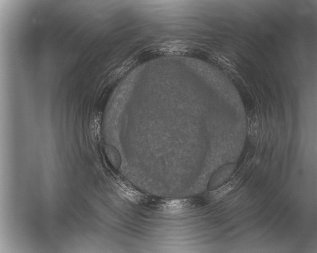 X0000057070382200510010140