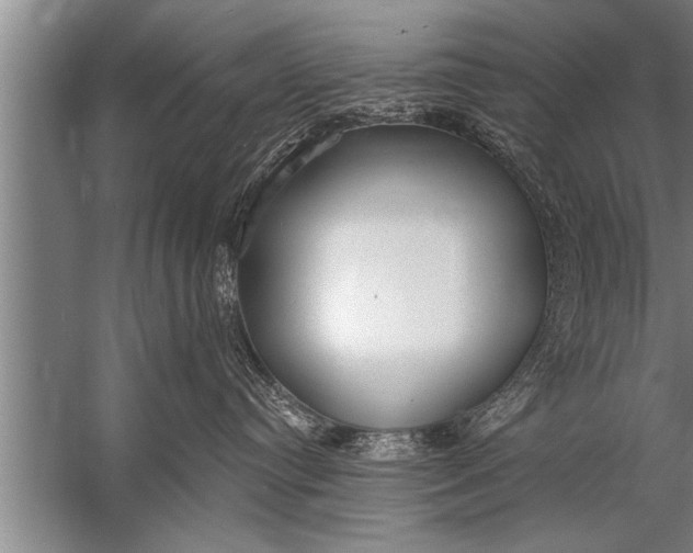 X0000057070384200510010140