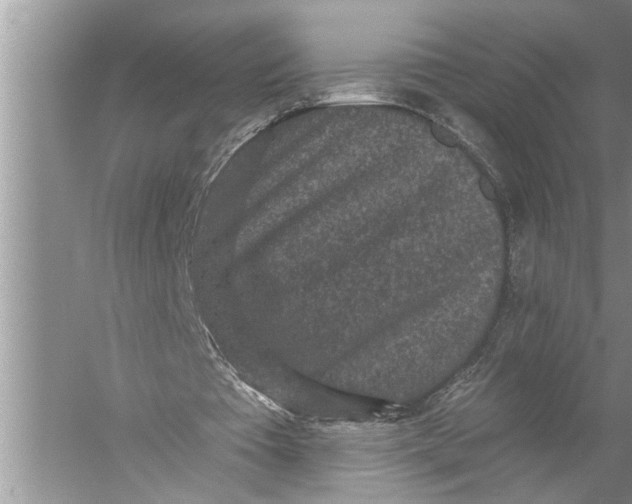 X0000057070385200510010139