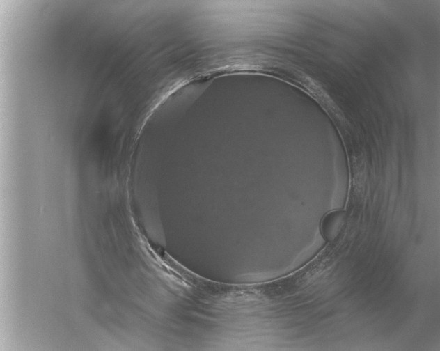 X0000057070386200510010139