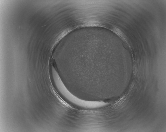 X0000057070389200510010139