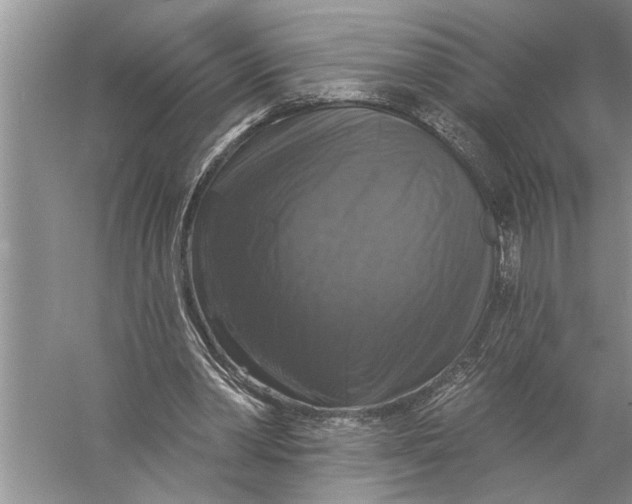 X0000057070390200510010139