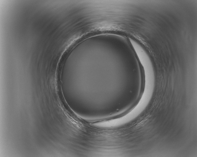 X0000057070391200510010139