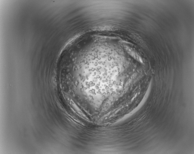 X0000057070392200510010139