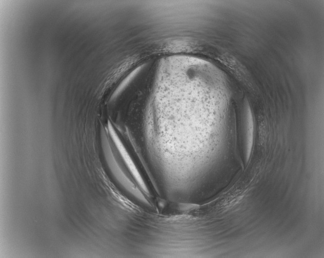 X0000057070393200510010139