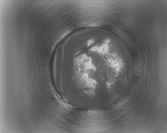 X0000057070394200510010139