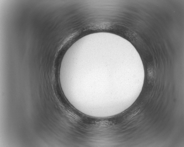 X0000057070396200510010139