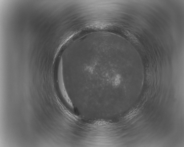 X0000057070399200510010139