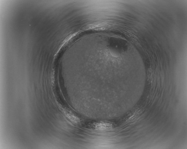 X0000057070400200510010139