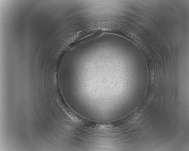 X0000057070401200510010139